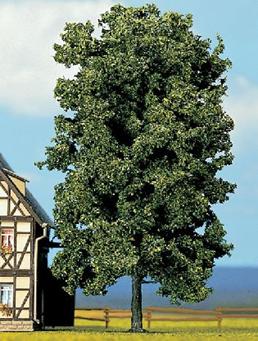 Descripcin: Descripcin: Descripcin: NOCH 21800.jpg