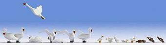 Descripcin: Descripcin: Descripcin: Descripcin: Descripcin: Descripcin: Descripcin: Descripcin: NOCH 15774
